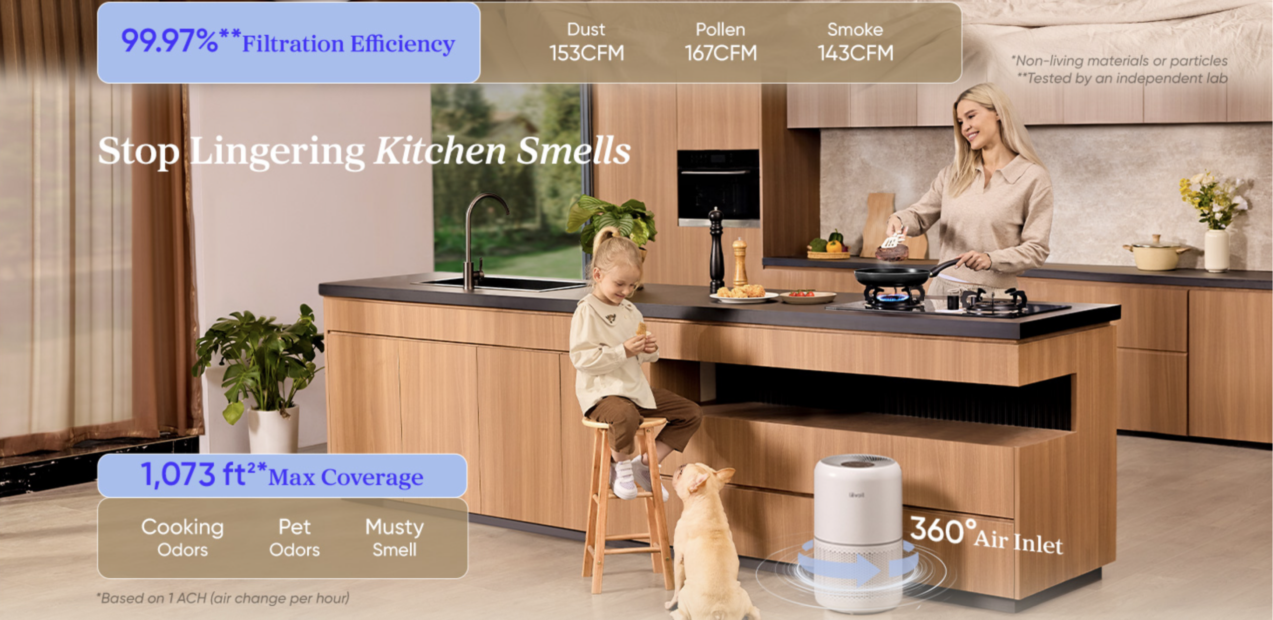 Most Homes Have Invisible Air Problems — LEVOIT Core 300-P Solves Them Quietly