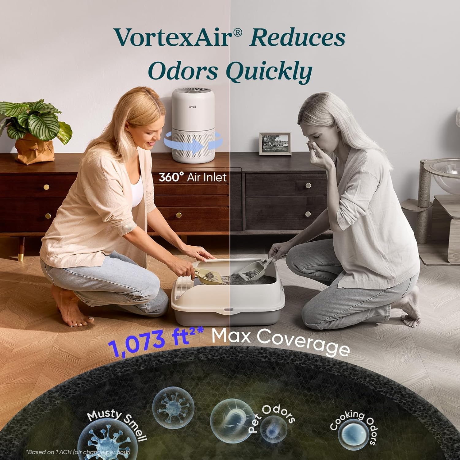 Most Homes Have Invisible Air Problems — LEVOIT Core 300-P Solves Them Quietly