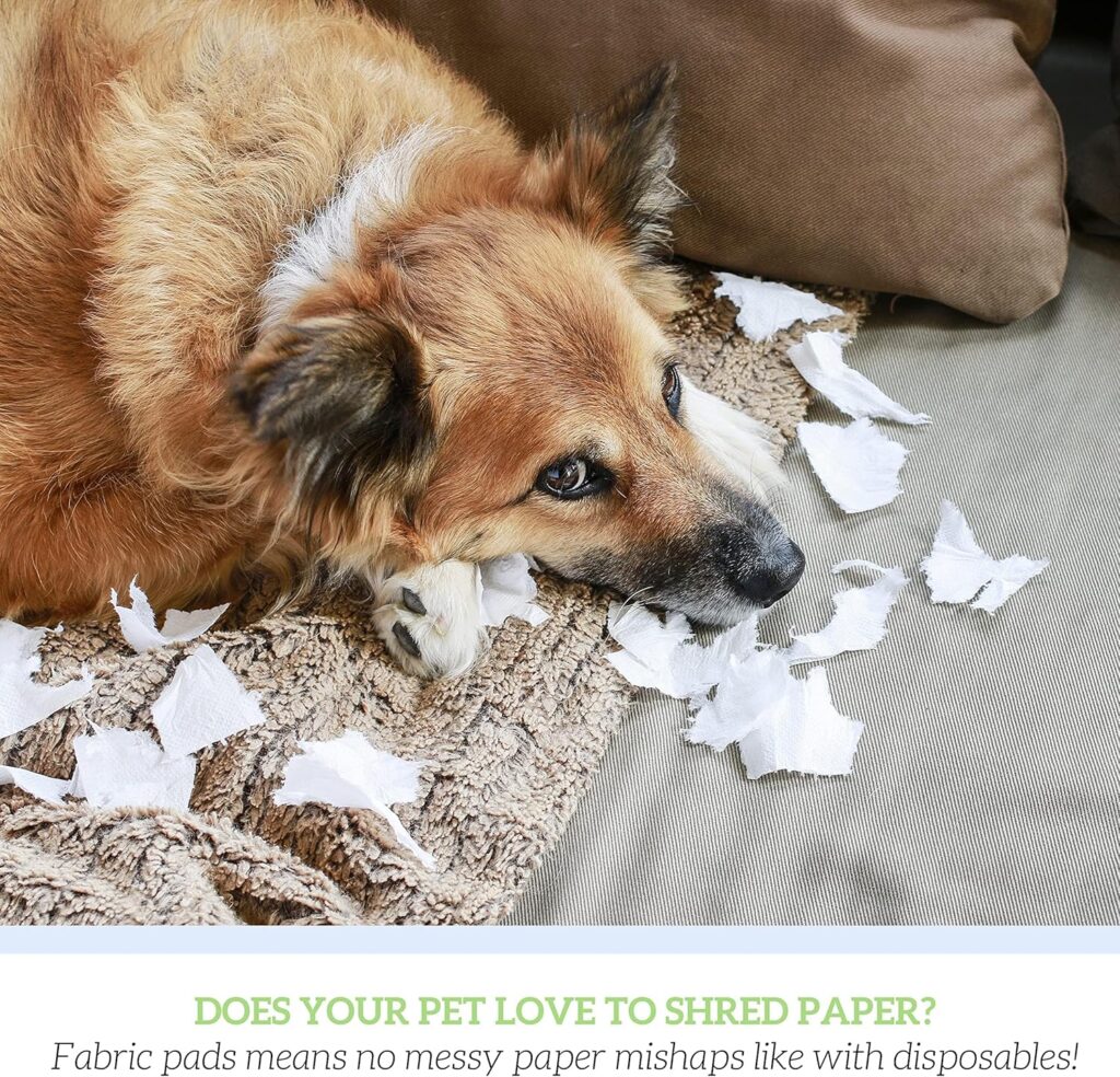 Why GREEN LIFESTYLE Washable Pee Pads are the #1 Solution for smart pet parents.