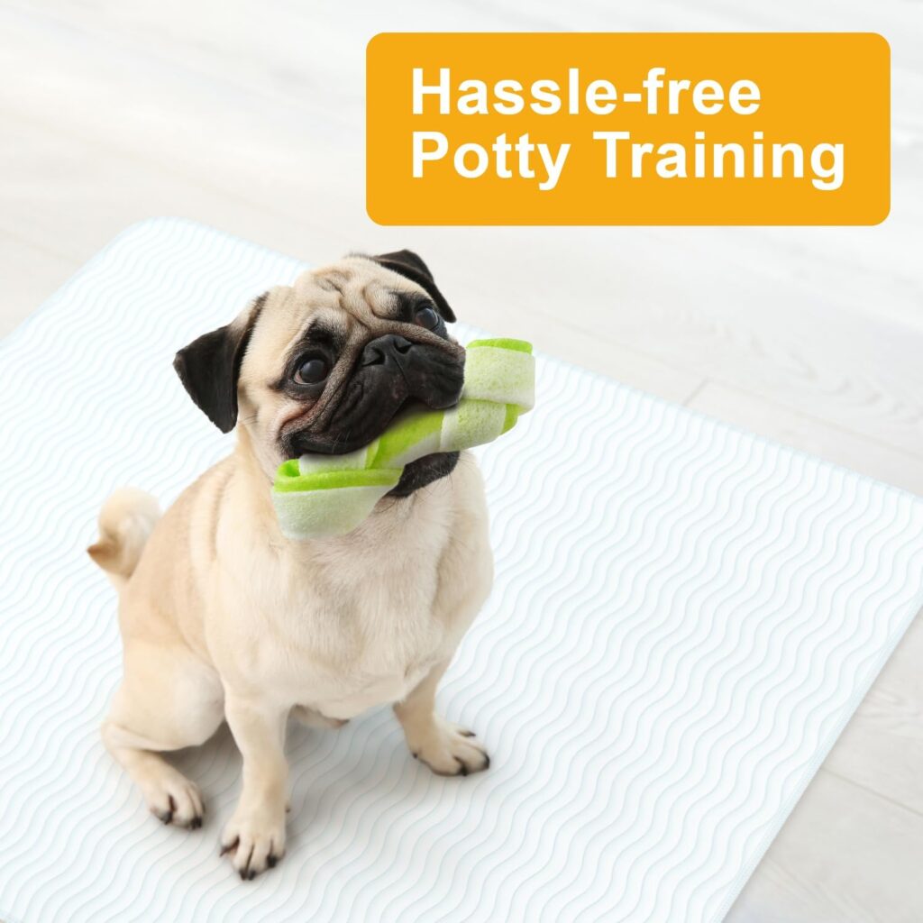 Why GREEN LIFESTYLE Washable Pee Pads are the #1 Solution for smart pet parents.
